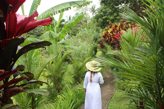 Bali Palms